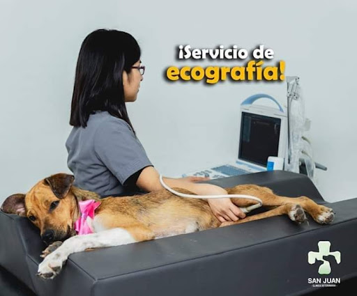 Clínica Veterinaria San Juan