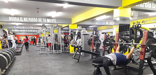 Ramses Gym