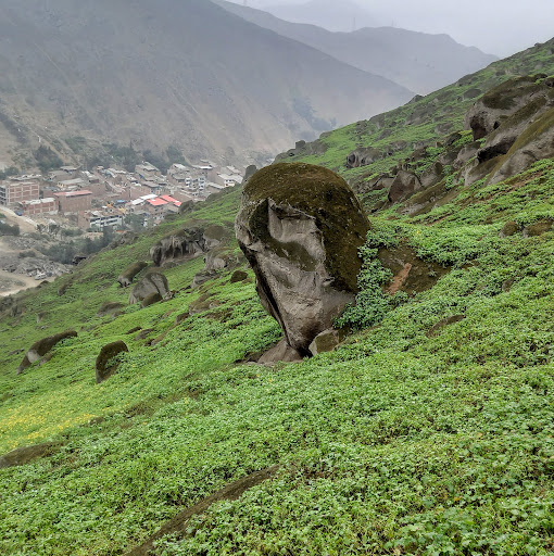 Las Lomas de Mangomarca