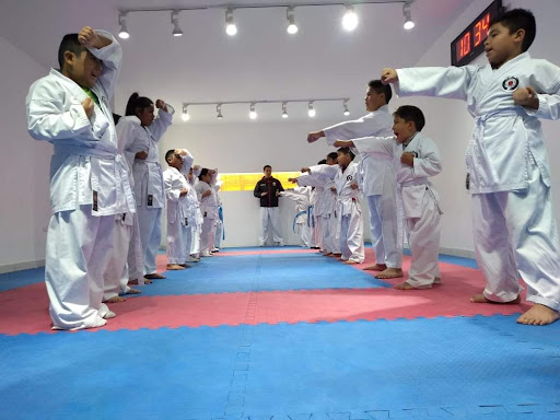 Takeshi Dai academia de karate