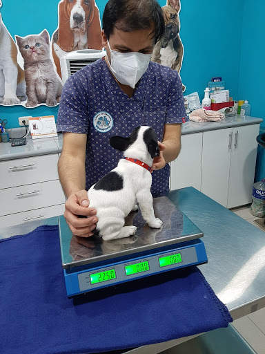 Clínica Veterinaria Maskotopía