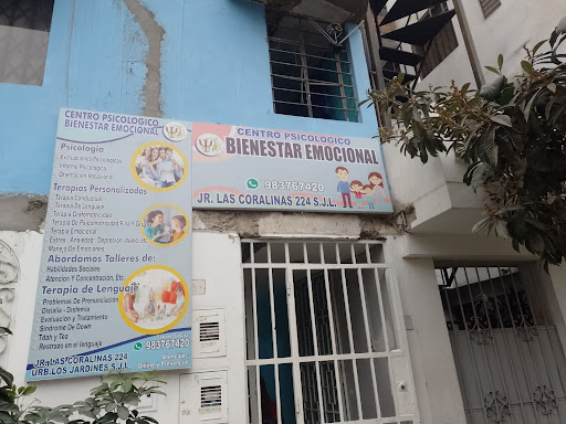 CENTRO PSICOLOGICO BIENESTAR EMOCIONAL