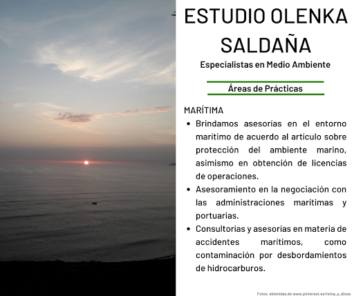 Dra. Leila Espinoza Psiquiatria & Psicoterapeuta Espicialista en Ansiedad y Depresión Certificado de Salud Mental